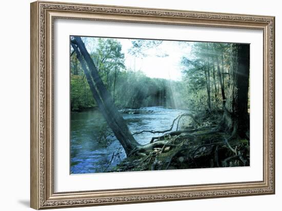 Nature-Mark Ashkenazi-Framed Giclee Print