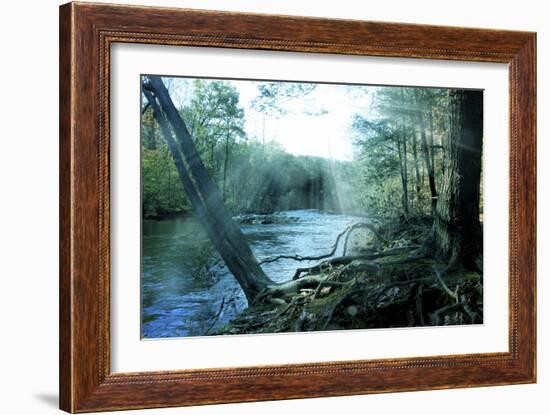 Nature-Mark Ashkenazi-Framed Giclee Print