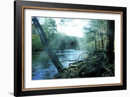 Nature-Mark Ashkenazi-Framed Giclee Print