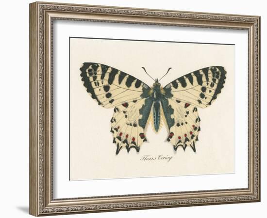 Natures Butterfly I-Wild Apple Portfolio-Framed Art Print