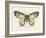 Natures Butterfly I-Wild Apple Portfolio-Framed Art Print