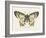 Natures Butterfly I-Wild Apple Portfolio-Framed Art Print