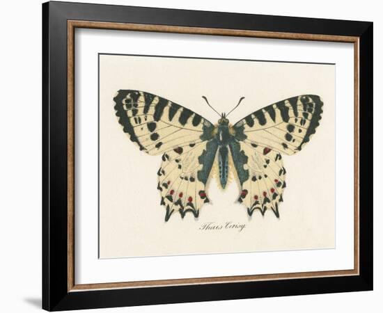 Natures Butterfly I-Wild Apple Portfolio-Framed Art Print