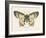 Natures Butterfly I-Wild Apple Portfolio-Framed Art Print