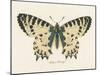 Natures Butterfly I-Wild Apple Portfolio-Mounted Art Print
