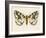 Natures Butterfly IV-Wild Apple Portfolio-Framed Art Print