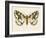 Natures Butterfly IV-Wild Apple Portfolio-Framed Art Print