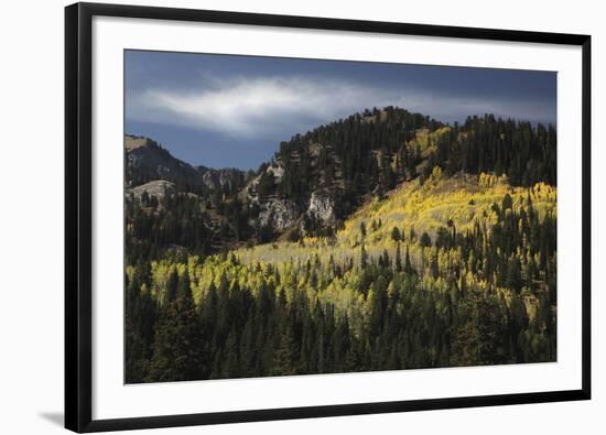 Natures Charm-Bill Philip-Framed Giclee Print