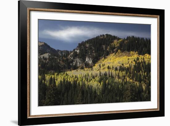 Natures Charm-Bill Philip-Framed Giclee Print