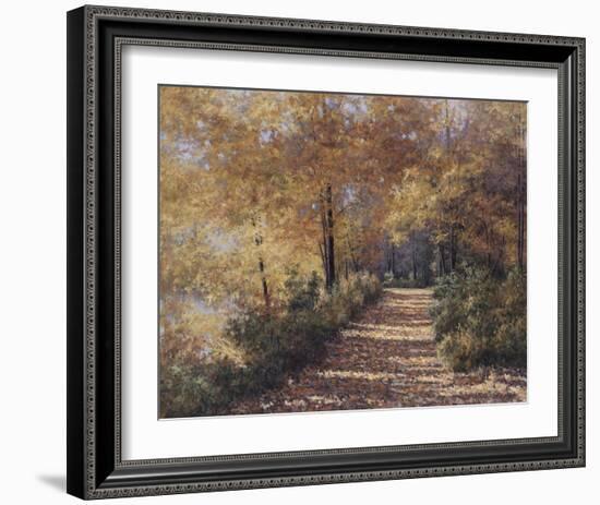 Natures Colors-Diane Romanello-Framed Art Print