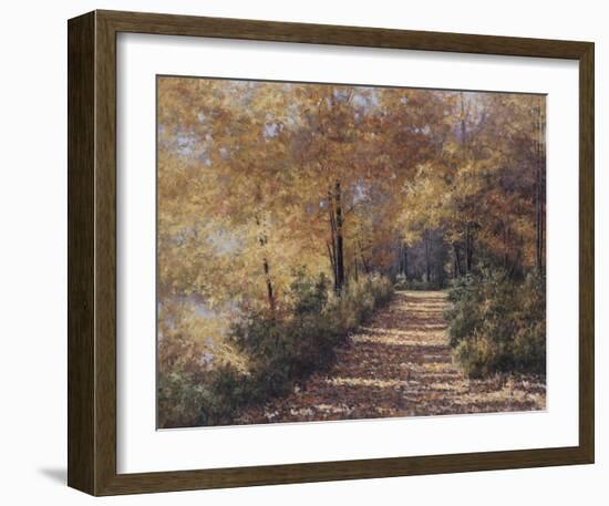 Natures Colors-Diane Romanello-Framed Art Print