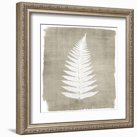 Natures Fern 1-Denise Brown-Framed Art Print