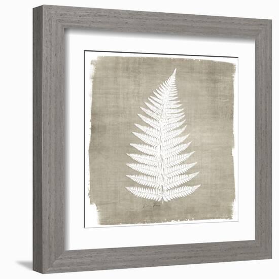 Natures Fern 1-Denise Brown-Framed Art Print