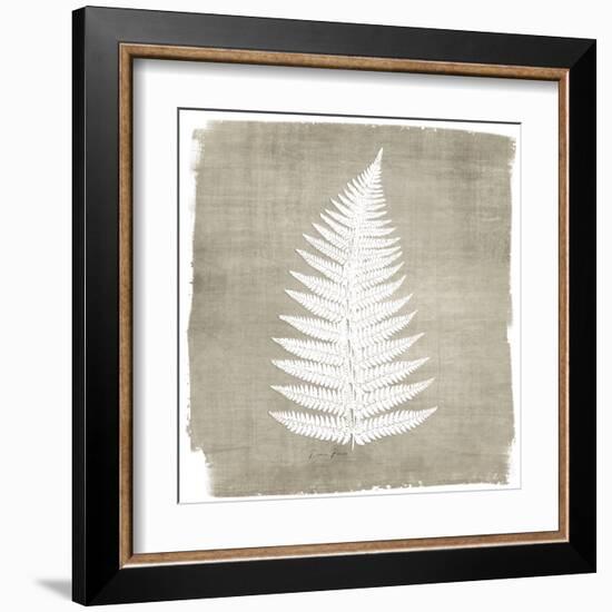 Natures Fern 1-Denise Brown-Framed Art Print