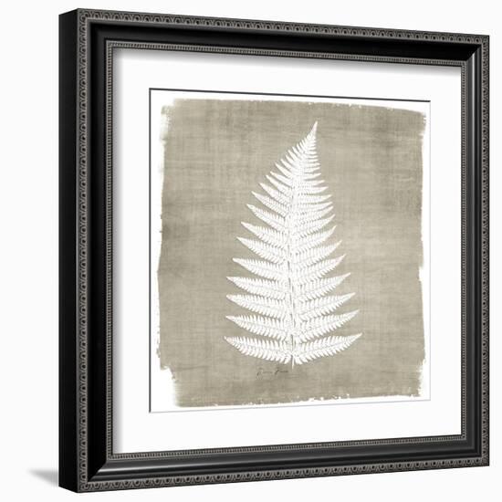 Natures Fern 1-Denise Brown-Framed Art Print