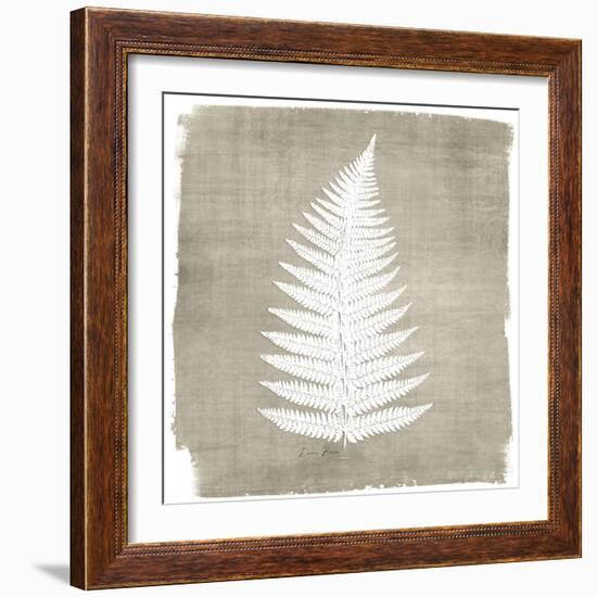 Natures Fern 1-Denise Brown-Framed Art Print