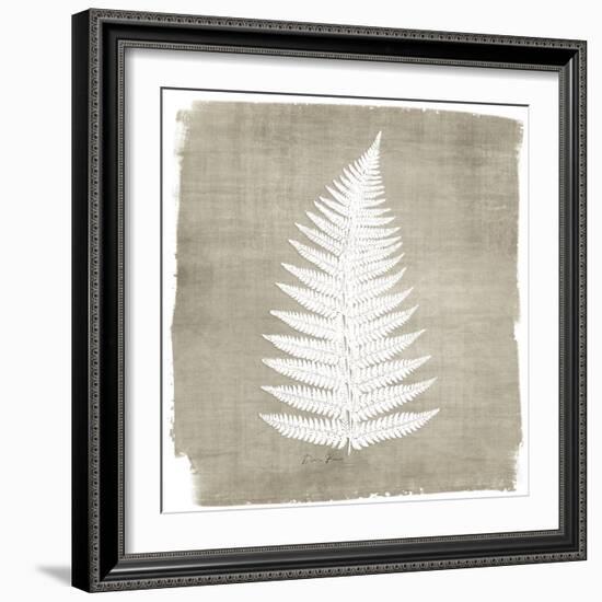 Natures Fern 1-Denise Brown-Framed Art Print