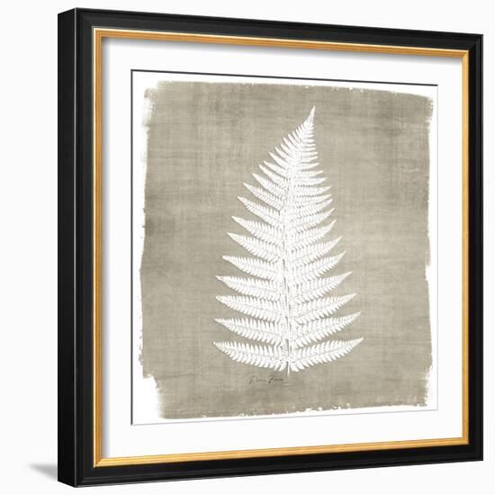 Natures Fern 1-Denise Brown-Framed Art Print