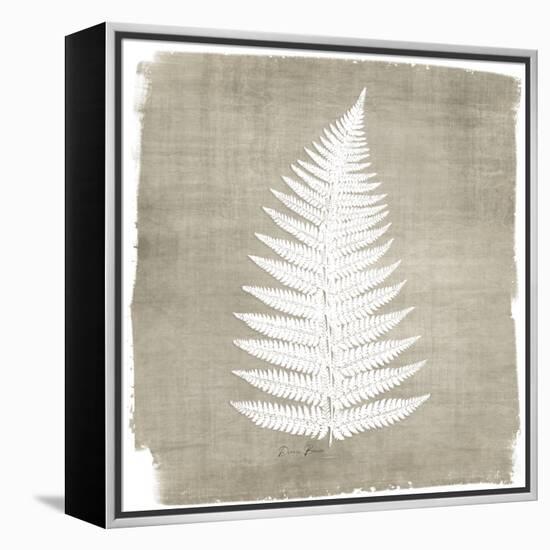 Natures Fern 1-Denise Brown-Framed Stretched Canvas