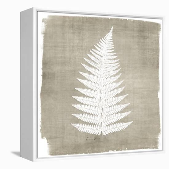 Natures Fern 1-Denise Brown-Framed Stretched Canvas