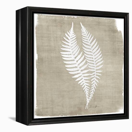 Natures Fern 2-Denise Brown-Framed Stretched Canvas