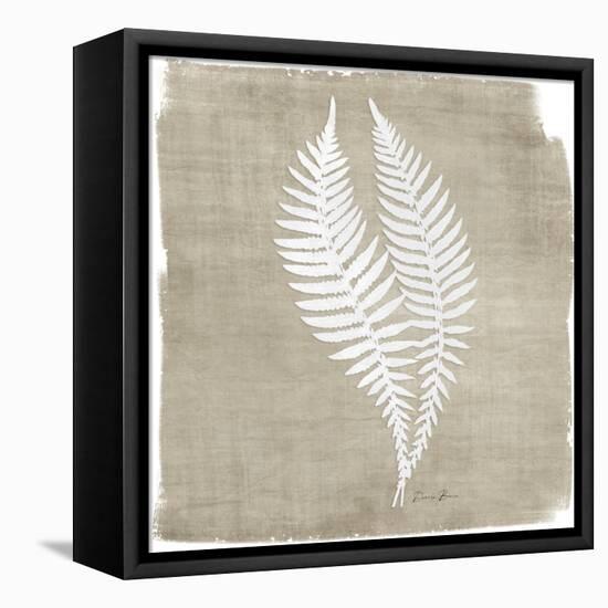 Natures Fern 2-Denise Brown-Framed Stretched Canvas