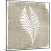 Natures Fern 2-Denise Brown-Mounted Art Print