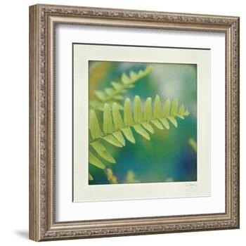 Natures Fern I-null-Framed Art Print