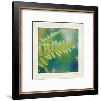 Natures Fern I-null-Framed Art Print