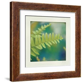 Natures Fern I-null-Framed Art Print