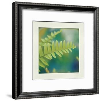 Natures Fern I-null-Framed Art Print