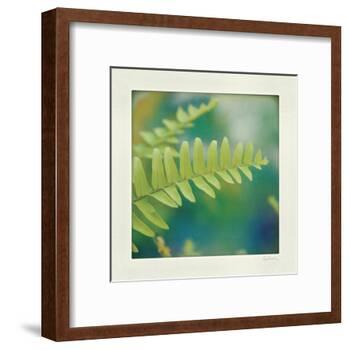 Natures Fern I-null-Framed Art Print