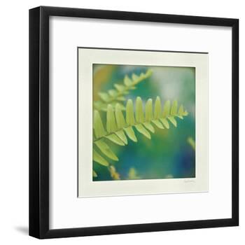 Natures Fern I-null-Framed Art Print