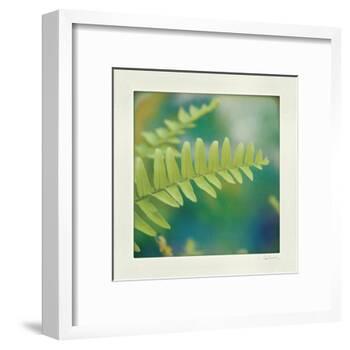 Natures Fern I-null-Framed Art Print