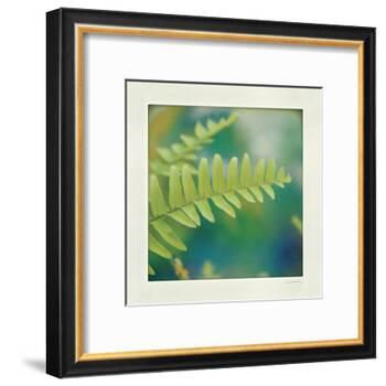 Natures Fern I-null-Framed Art Print