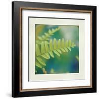 Natures Fern I-null-Framed Art Print