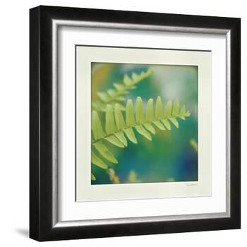 Natures Fern I-null-Framed Art Print