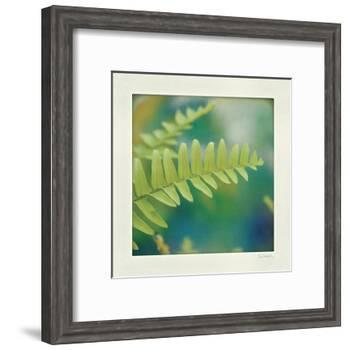Natures Fern I-null-Framed Art Print