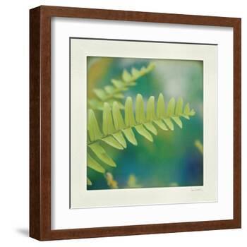 Natures Fern I-null-Framed Art Print
