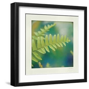 Natures Fern I-null-Framed Art Print