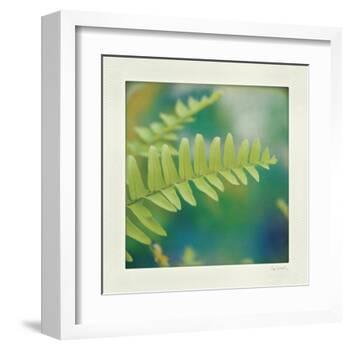 Natures Fern I-null-Framed Art Print