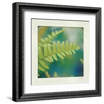 Natures Fern I-null-Framed Art Print