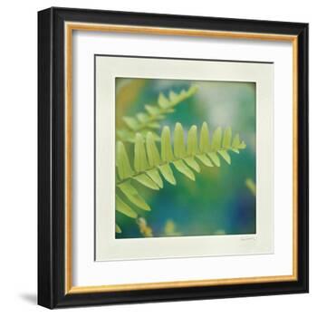 Natures Fern I-null-Framed Art Print