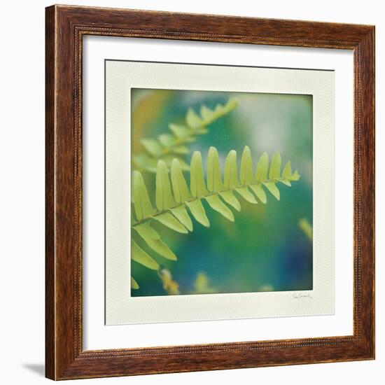 Natures Fern I-null-Framed Art Print