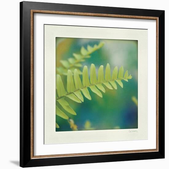 Natures Fern I-null-Framed Art Print