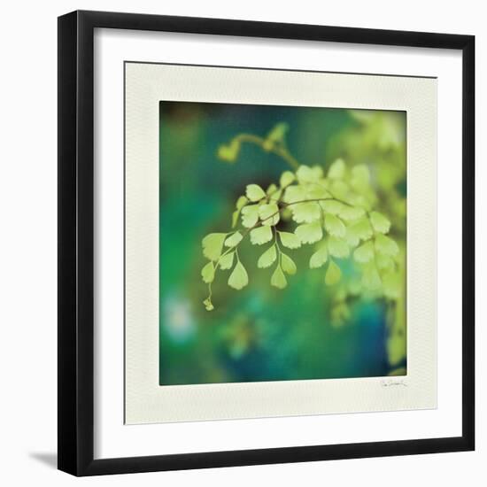 Natures Fern II-null-Framed Art Print