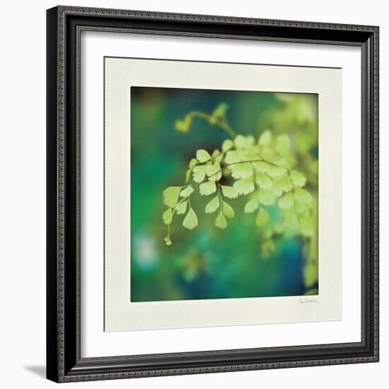 Natures Fern II-null-Framed Art Print