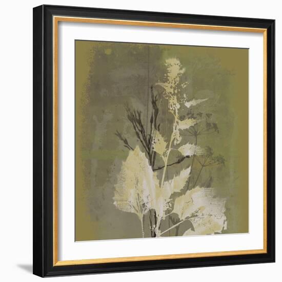 Natures Harmony I-Ken Hurd-Framed Giclee Print