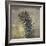 Natures Harmony II-Ken Hurd-Framed Giclee Print