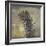 Natures Harmony II-Ken Hurd-Framed Giclee Print